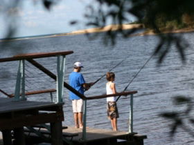 Currimundi Lake (Kathleen McArthur) Conservation Park - Accommodation Georgetown 0