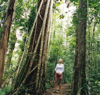Wet Tropics - Accommodation Georgetown