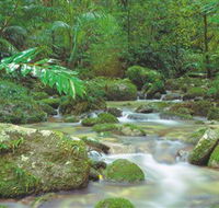 Mossman Gorge Daintree National Park - Accommodation Georgetown