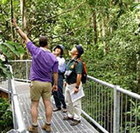 Daintree Discovery Centre - Accommodation Georgetown