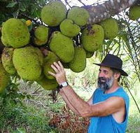 Cape Trib Exotic Fruit Farm - Accommodation Georgetown