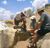 Riversleigh Fossil Fields - Accommodation Georgetown