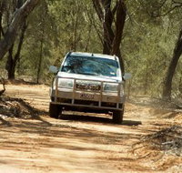 Ward River 4x4 Stock Route Trail - Accommodation Georgetown