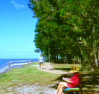 Melaleuca Track - Accommodation Georgetown