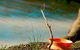 Charleville - Mangalore Warrego River Fishing Spot - thumb 0
