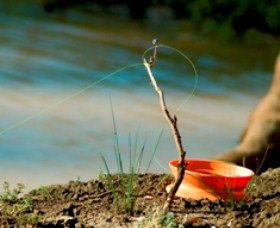 Charleville - Mangalore Warrego River Fishing Spot - Accommodation Georgetown 0