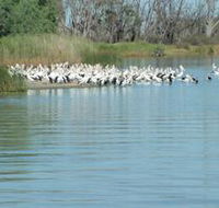 Lake Ross - Accommodation Georgetown