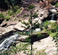 Banksia Track and the Boardwalk - Accommodation Georgetown