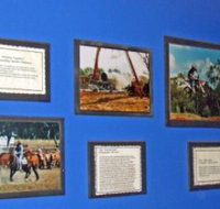 Town Hall Photographic Display - Accommodation Georgetown
