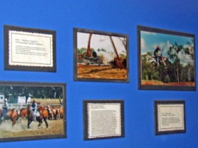 Town Hall Photographic Display - Accommodation Georgetown 0