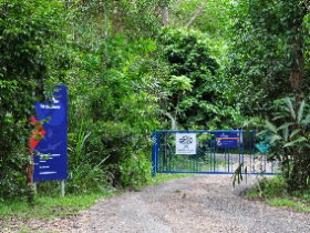 The Bat Hospital Visitor Centre - Accommodation Georgetown 0