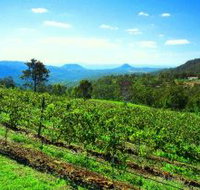 Preston Peak Wines - Accommodation Georgetown
