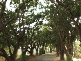 Eimeo QLD Accommodation Georgetown