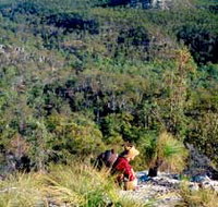 Expedition National Park - Accommodation Georgetown