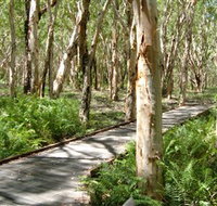 The Kommo Toera Trail - Accommodation Georgetown