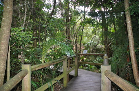 Cedar Creek Estate - Accommodation Georgetown 1