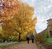 Indigo Gold Trail - Accommodation Georgetown
