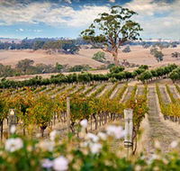 Redesdale Estate - Accommodation Georgetown