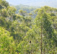 Bunyip State Park - Accommodation Georgetown