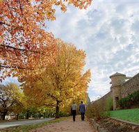 Beechworth Historic Park - Accommodation Georgetown