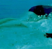 Muse - Accommodation Georgetown