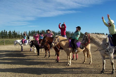 Saddle On Riding School - Accommodation Georgetown 3