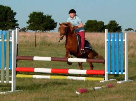 Saddle On Riding School - Accommodation Georgetown 5