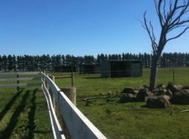 Saddle On Riding School - Accommodation Georgetown 6