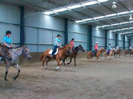 Saddle On Riding School - Accommodation Georgetown 7
