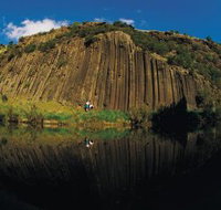 Organ Pipes National Park - Accommodation Georgetown