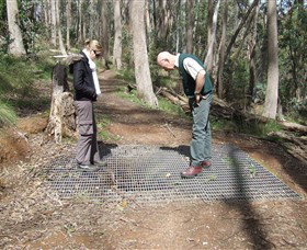 Lake Kerferd - Accommodation Georgetown 0