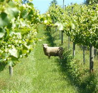 Passing Clouds - Accommodation Georgetown