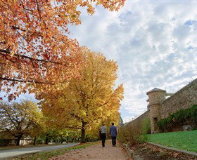 Beechworth Historic And Cultural Precinct - Accommodation Georgetown 0