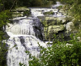 Agnes Falls Scenic Reserve - Accommodation Georgetown 0