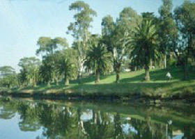 Maribyrnong River - Accommodation Georgetown 0