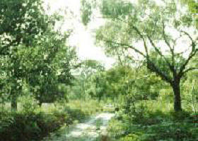 Rosedale VIC Accommodation Georgetown