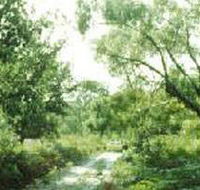Holey Plains State Park - Accommodation Georgetown