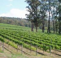 Piedmont Vineyard - Accommodation Georgetown