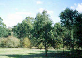 Sweeneys Flat - Accommodation Georgetown 0