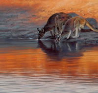 Steve Morvell Wildlife Art - Accommodation Georgetown