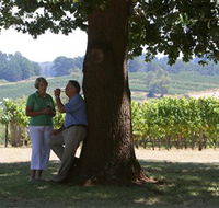 Five Oaks Vineyard - Accommodation Georgetown