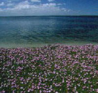 The Lakes National Park - Accommodation Georgetown