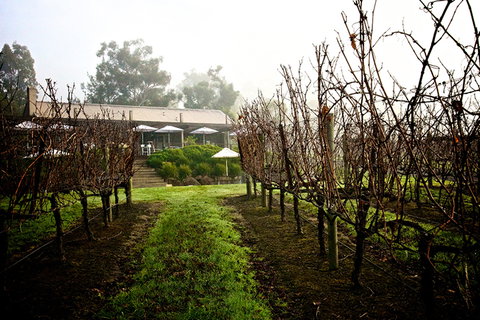 GREENSTONE VINEYARDS - Accommodation Georgetown 4