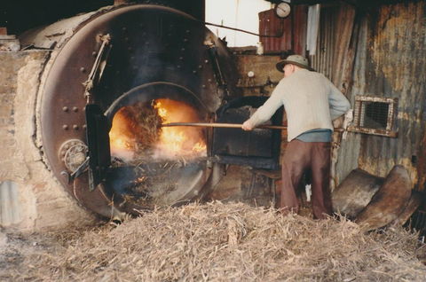 Eucalyptus Distillery Museum - Accommodation Georgetown 2