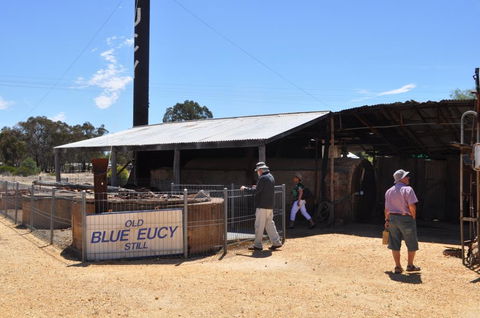 Eucalyptus Distillery Museum - Accommodation Georgetown 3
