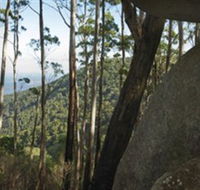 Gulaga National Park - Accommodation Georgetown
