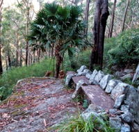 Wodi Wodi Walking Track - Accommodation Georgetown