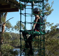 Trees Adventure Shoalhaven - Accommodation Georgetown