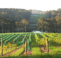 Tilba Valley Wines - Accommodation Georgetown