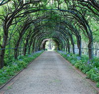 Foxglove Spire Gardens - Accommodation Georgetown